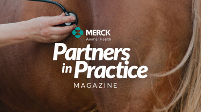 Partners in Practice: Magazine