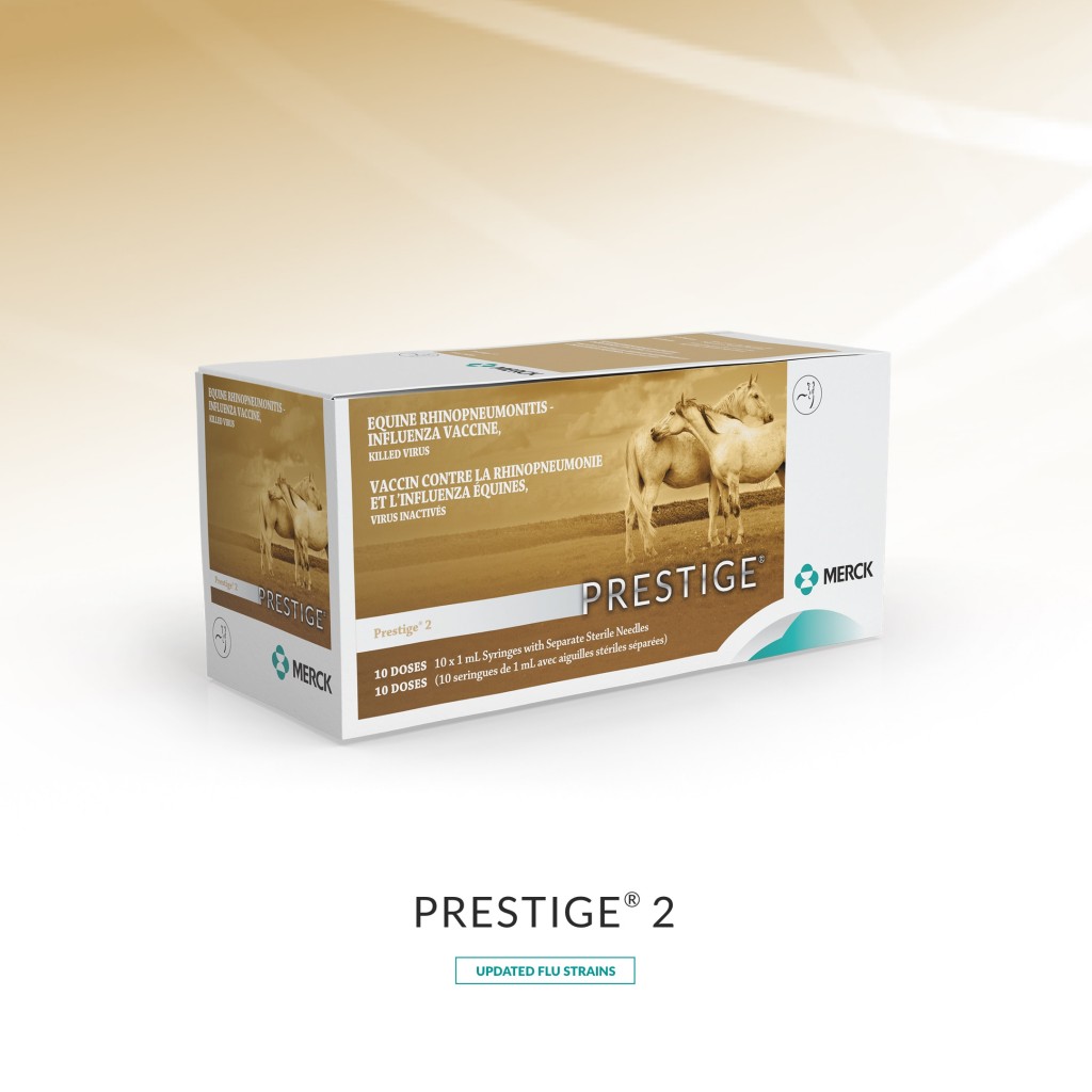 prestige2