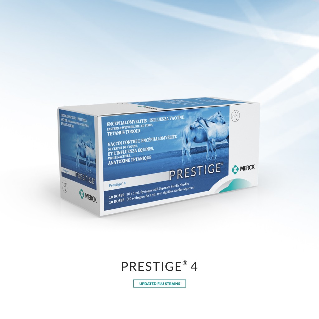 prestige4