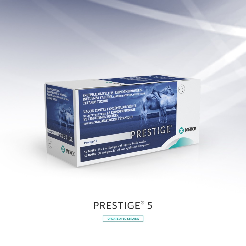 prestige5